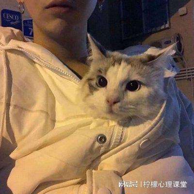 大神仙3d最新版下载