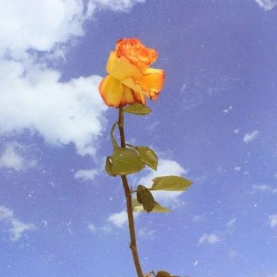 究极数码进化果盘版最新版下载