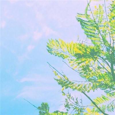 香肠派对真人版枪战游戏下载