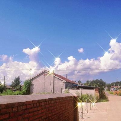 天尊传奇3d版下载