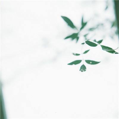好友大作战游戏